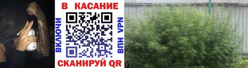 Купить наркотики цена Спас-Клепики АМФ КЕТАМИН ГАШ A PVP МЕФ Псилоцибиновые грибы