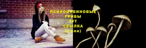 ALPHA-PVP Армянск