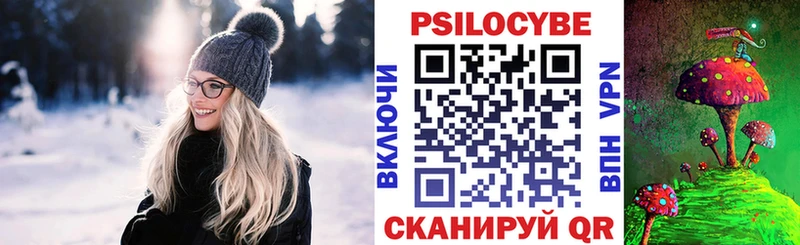 где найти наркотики  Спас-Клепики  Галлюциногенные грибы Psilocybe 